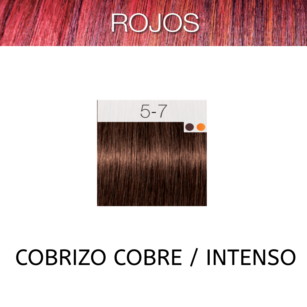 Coloracion Igora Royal 5-7 Rojos Castaño Claro Cobrizo 60 ml – Bertoldi