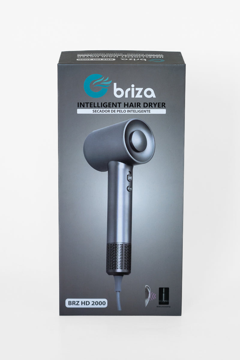 Secador De Pelo Profesional Inteligente HD 2000