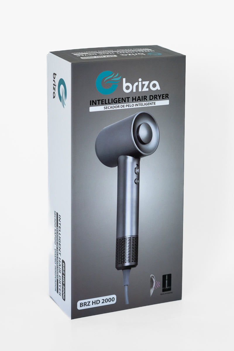 Secador De Pelo Profesional Inteligente HD 2000