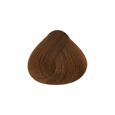 Tintura Evolution Alfaparf x 60 ml