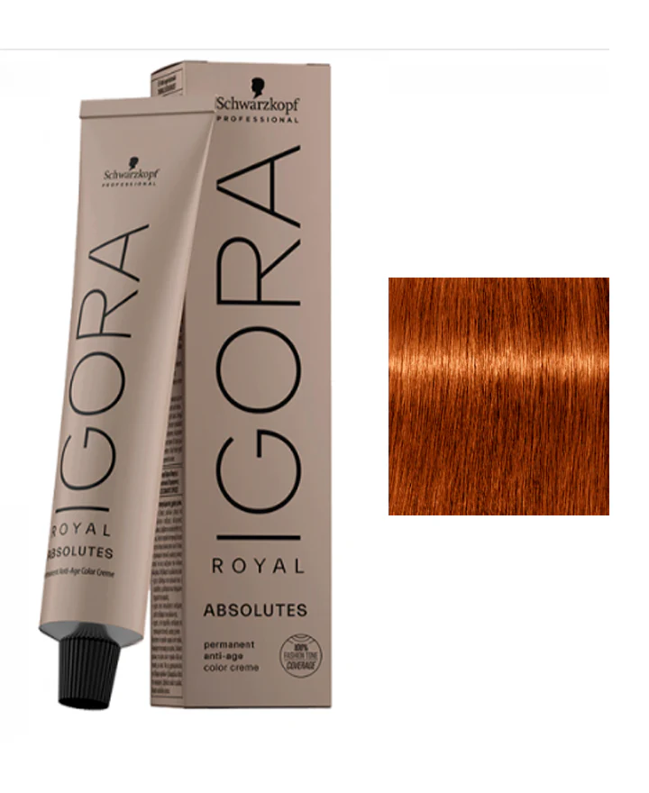 Tintura Igora Royal x60ml