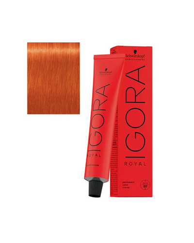 Tintura Igora Royal x60ml