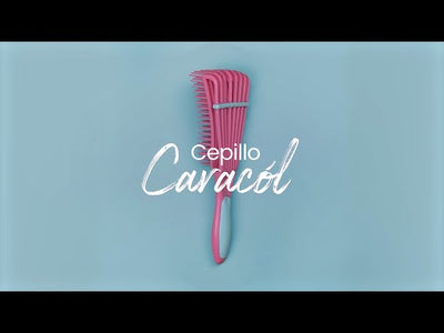 Cepillo de Cabello Caracól Dompel