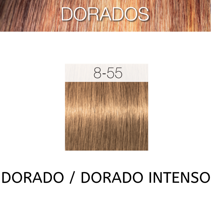 Coloracion Igora Royal 8-55 Dorados Rubio Claro Dorado/Intenso 60 ml