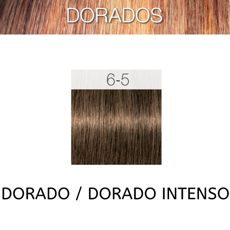 Coloracion Igora Royal 6-5 Dorados Rubio Oscuro Dorado 60 ml
