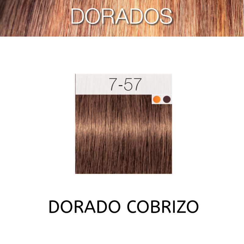 Coloracion Igora Royal 7-57 Dorados Rubio Medio Dorado Cobrizo 60 ml