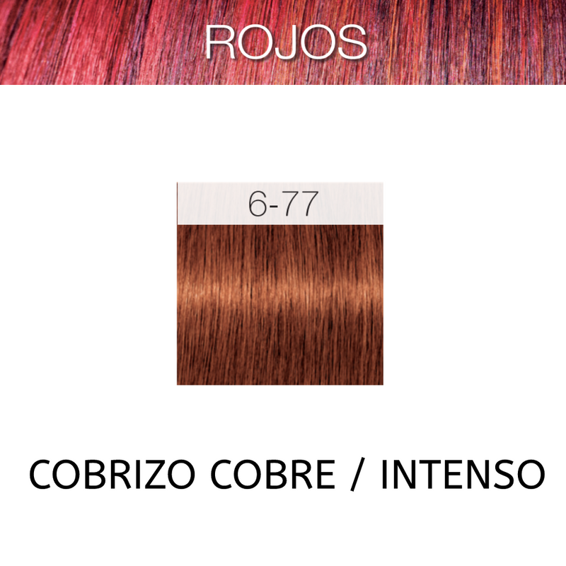 Coloracion Igora Royal 6-7/6-77 Rojos Rubio Oscuro Cobrizo Intenso 60 ml