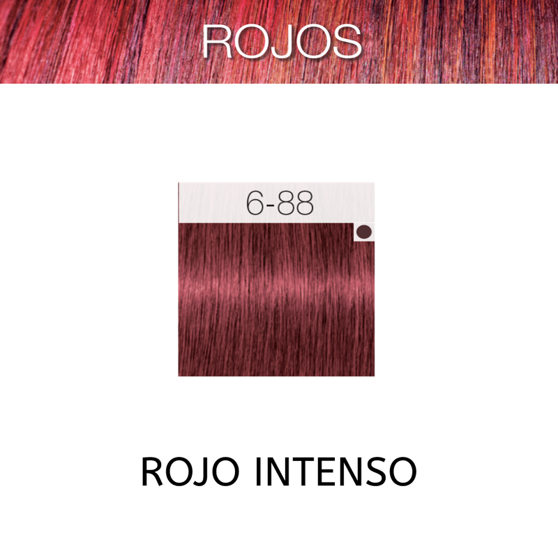 Coloracion Igora Royal 6-88 Rojos Rubio Oscuro Rojo Intenso 60 ml