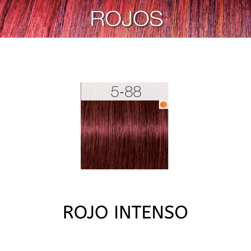 Coloracion Igora Royal 5-88 Rojos Castaño Claro Rojo Intenso 60 ml