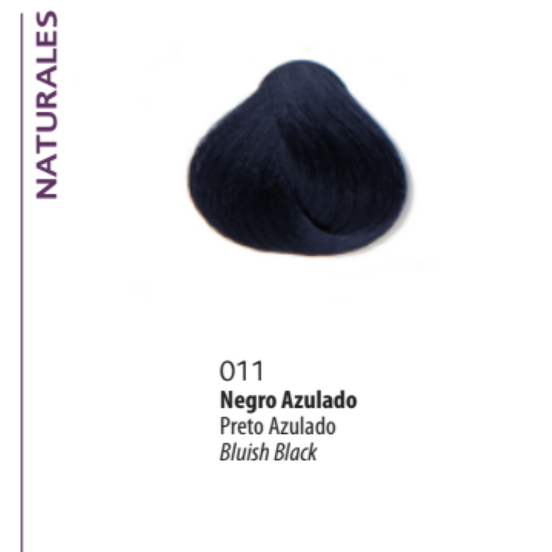 BONMETIQUE PROFESSIONNEL Jalea colorante  x 50 ml. 011 Negro Azulado